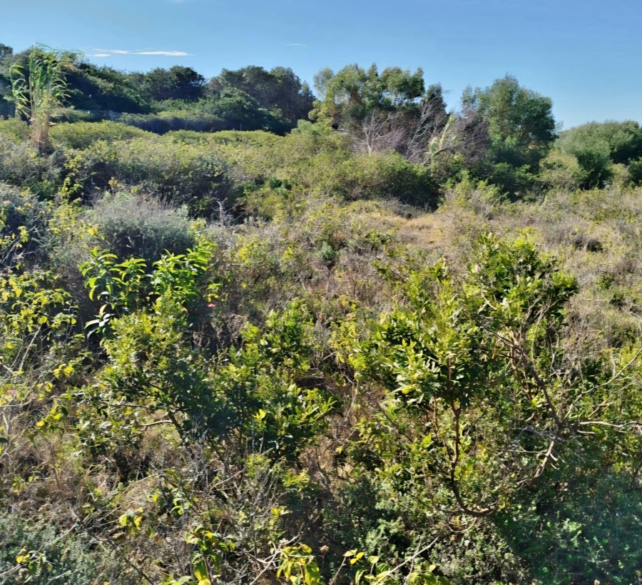 0 Bedroom Property for Sale in West Bank Eastern Cape